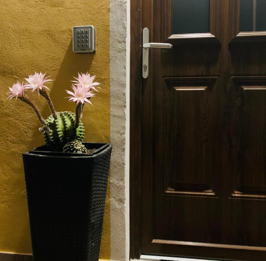 Bb Borgo Biella Bed & Breakfast Candelo Exterior photo